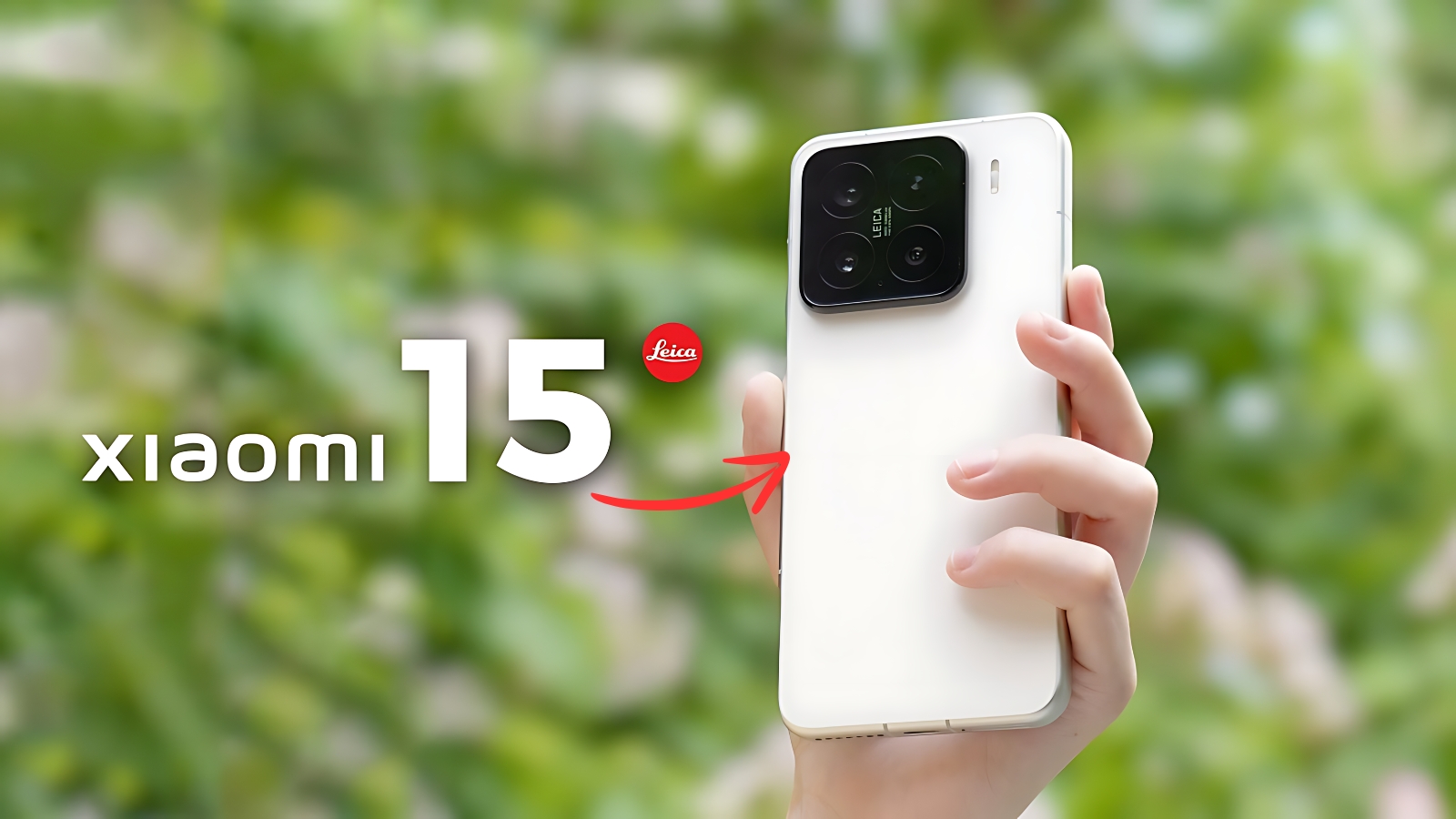 Xiaomi 15 